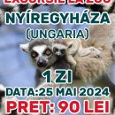 Excursie la ZOO Nyíregyháza (Ungaria)!